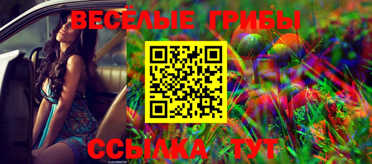 Полевской  Галлюциногенные грибы Magic Shrooms  Вход с VPN 